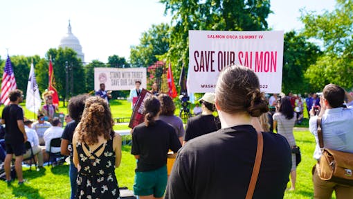 Crowd Watching Speakers - Salmon Orca Rally