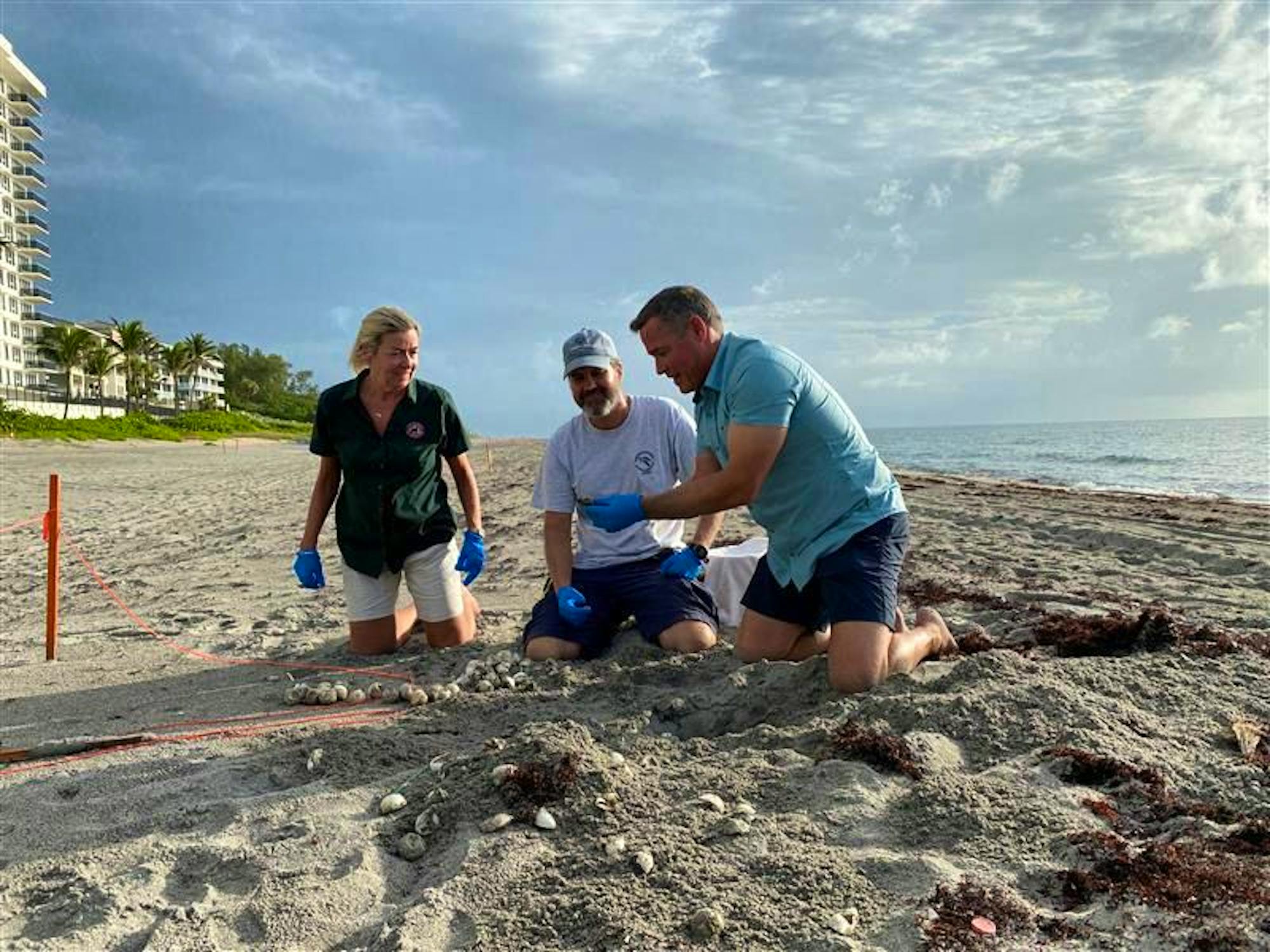 Jeff Corwin with Sea Turtles