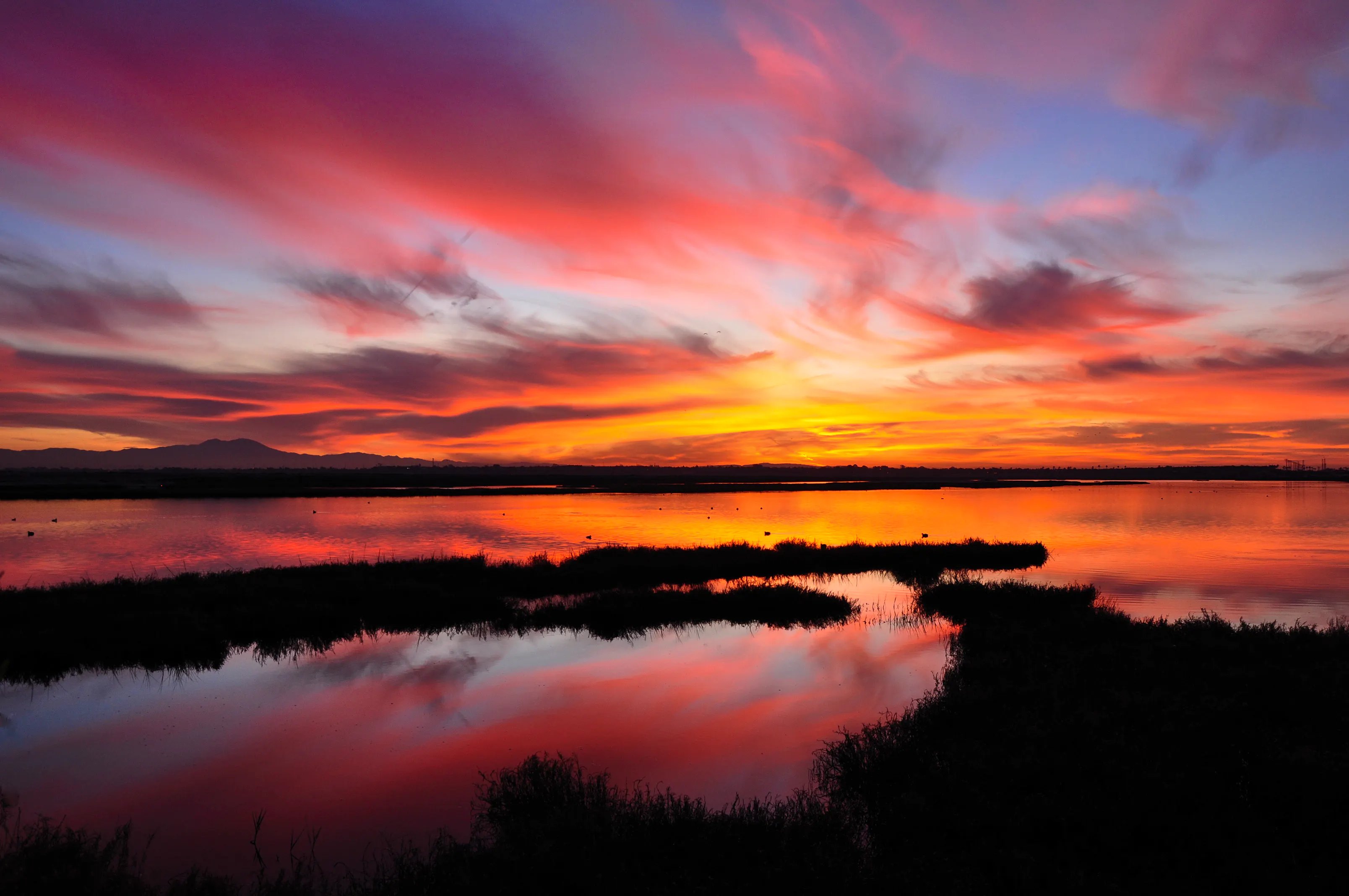 Wetland Sunset - Bolsa Chica Ecological Preserve - California