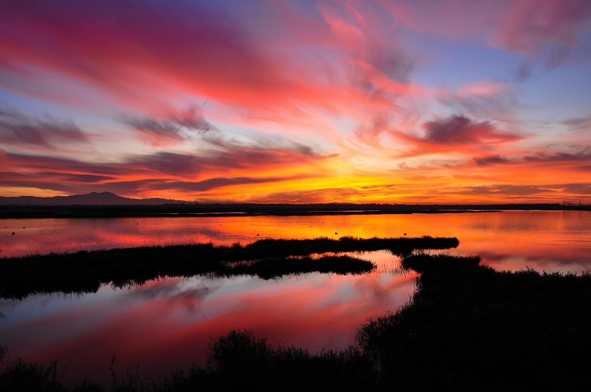 Wetland Sunset - Bolsa Chica Ecological Preserve - California