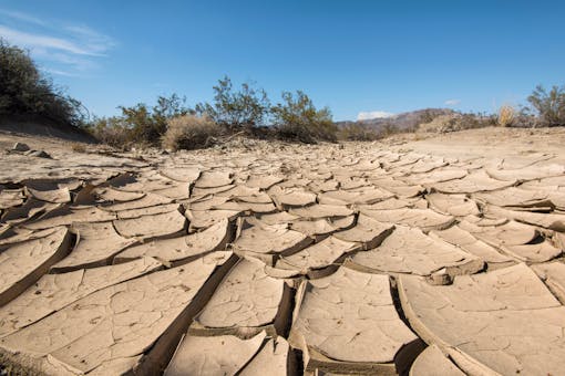 Cracked Dirt Landscape - Joshua Tree National Park - California 