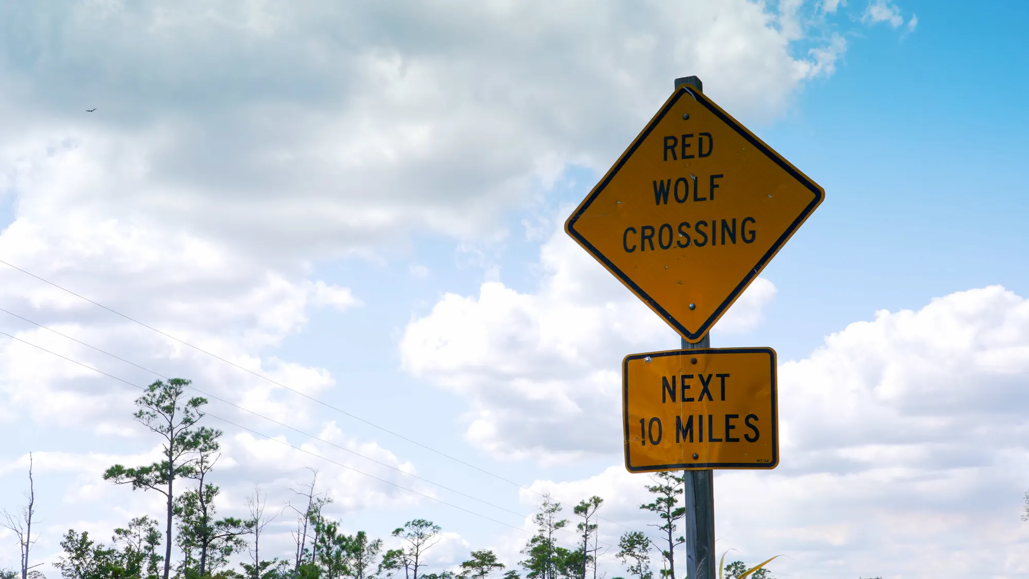 Building Safe Passage for Animals Along North Carolina’s I-40 ...