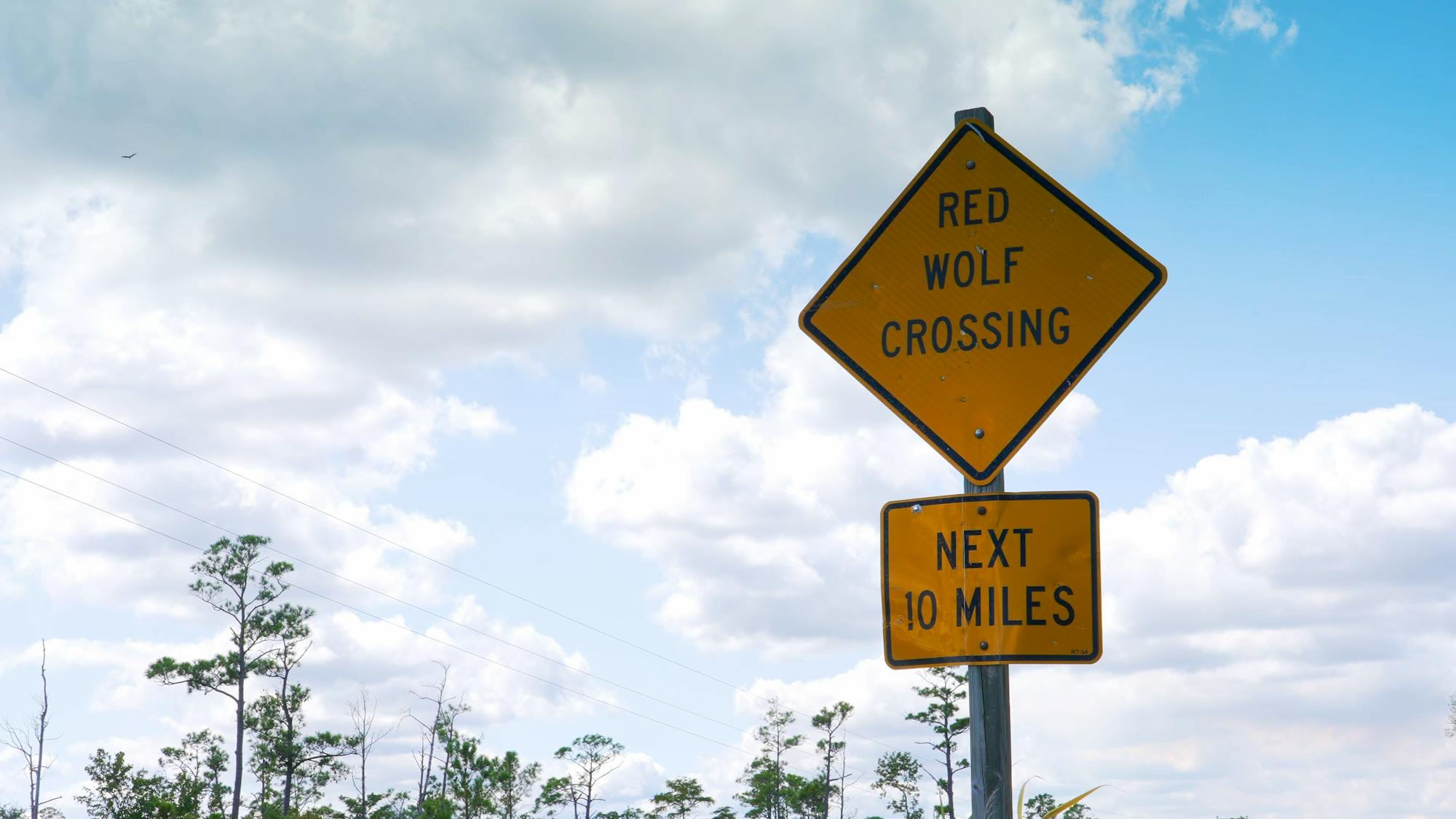 Red Wolves - Red Wolf crossing sign