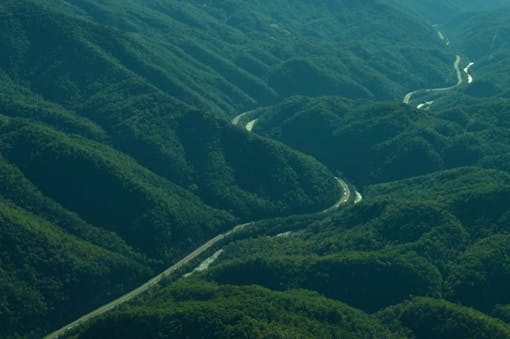 Safe Passage’s primary study area along Interstate 40 in the Pigeon River Gorge, near the North Carolina-Tennessee border.