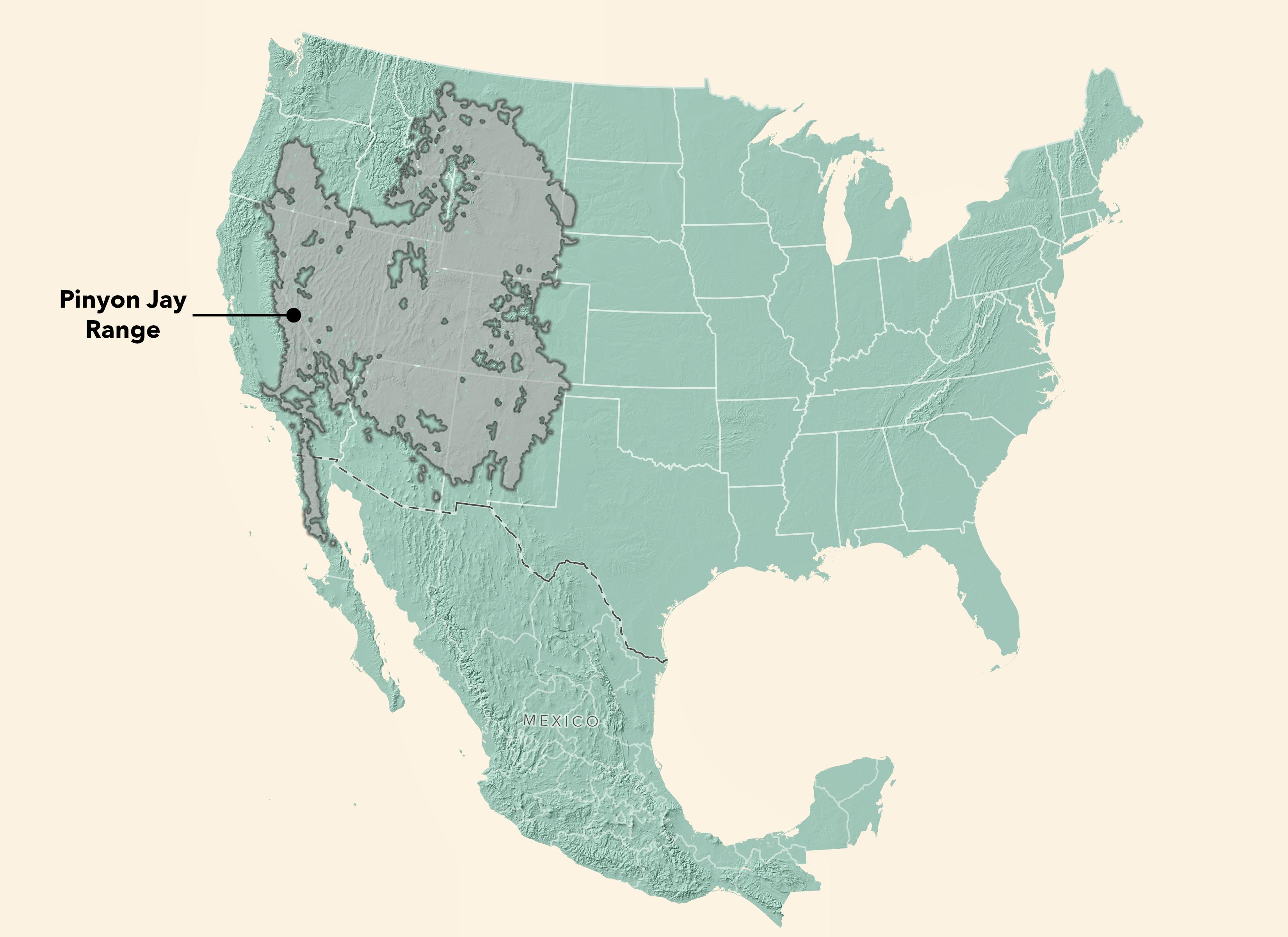 Pinyon Jay Range Map