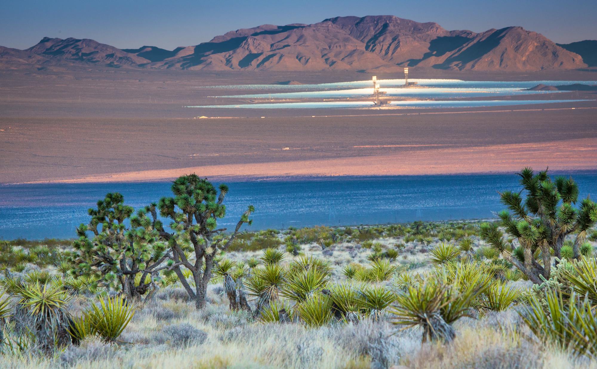 Solar energy development in the Ivanpah Valley, California