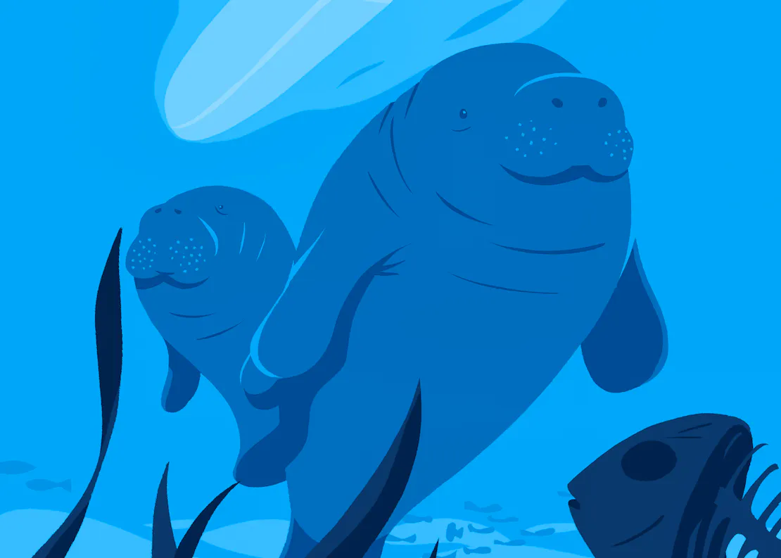Vote4Wildlife2022-CropManatee