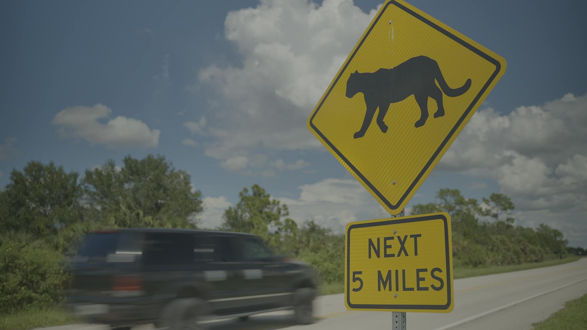 RWM - SW Florida Refuge - signage