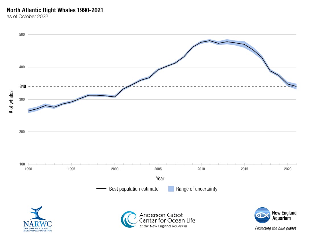 2022 North Atlantic Right Whale Population