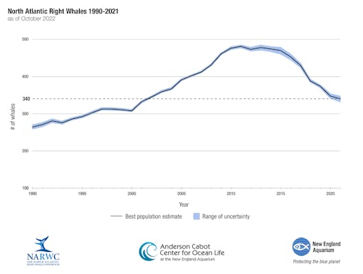 2022 North Atlantic Right Whale Population