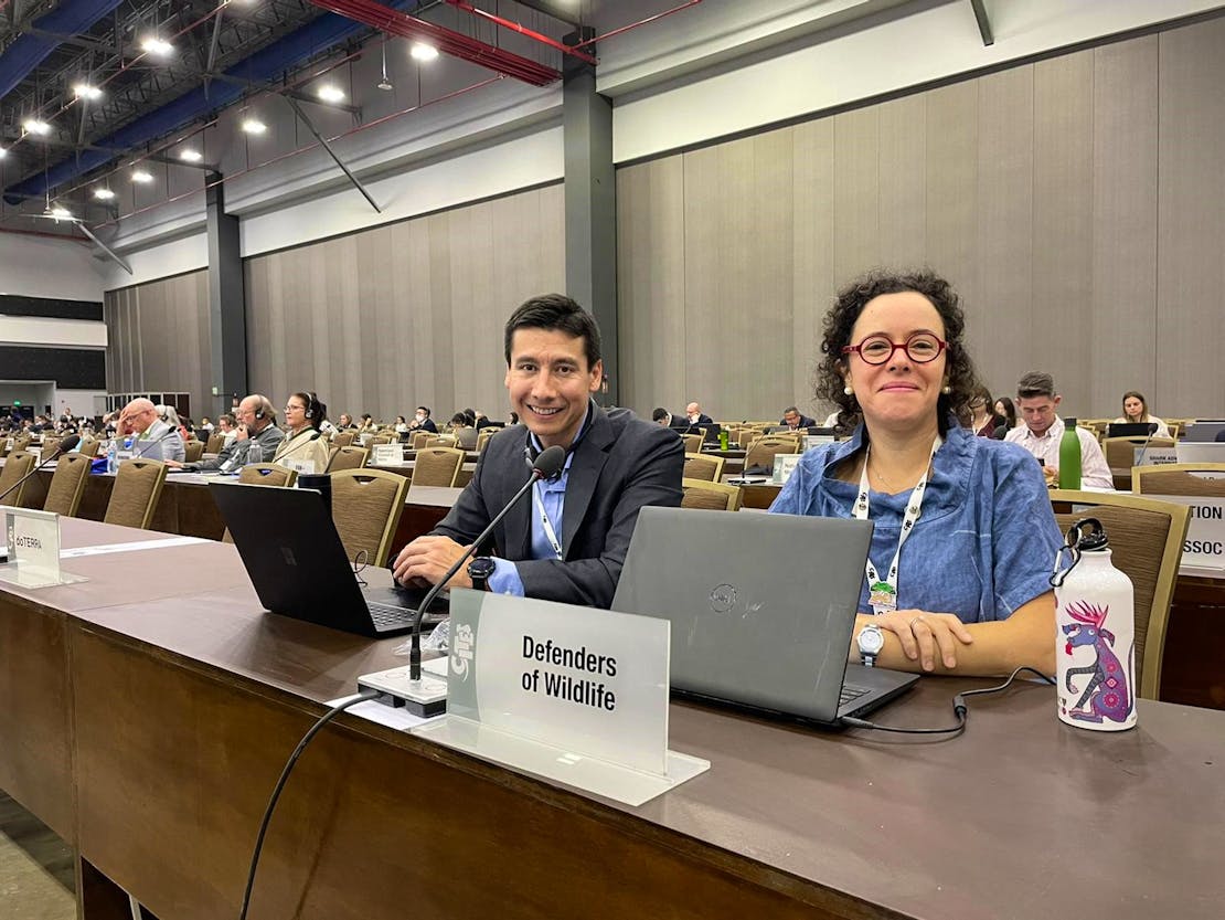 Orion and Alejandra at CITES - Panama