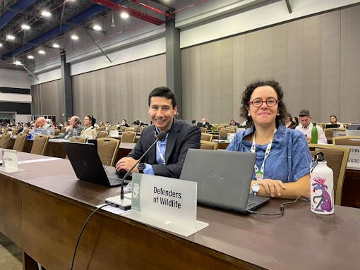 Orion and Alejandra at CITES - Panama