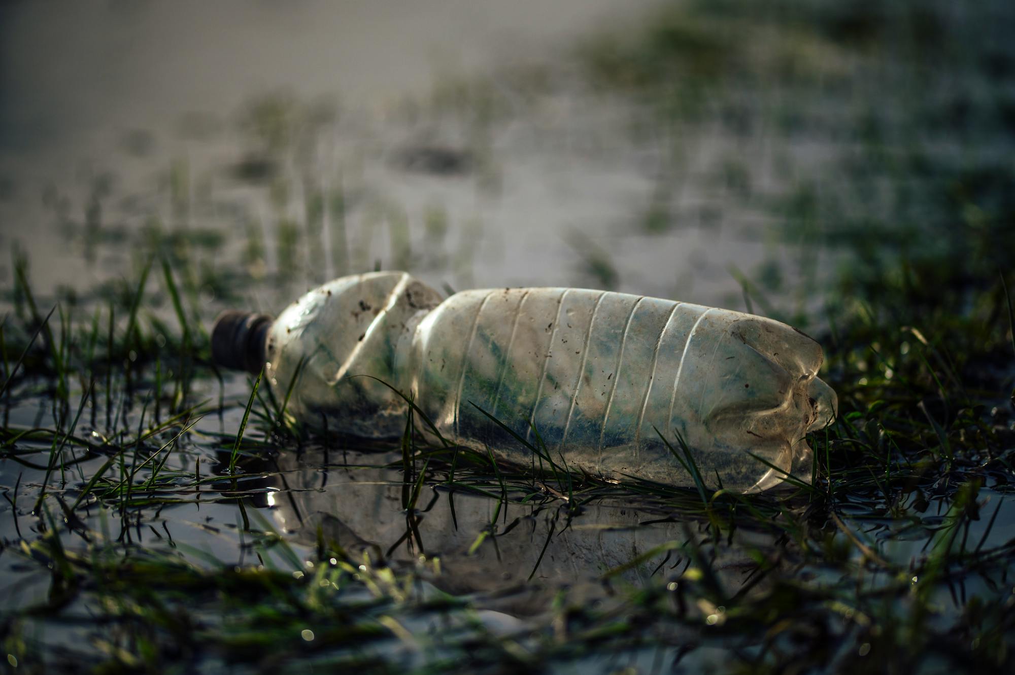 Plastic Water Bottle in River