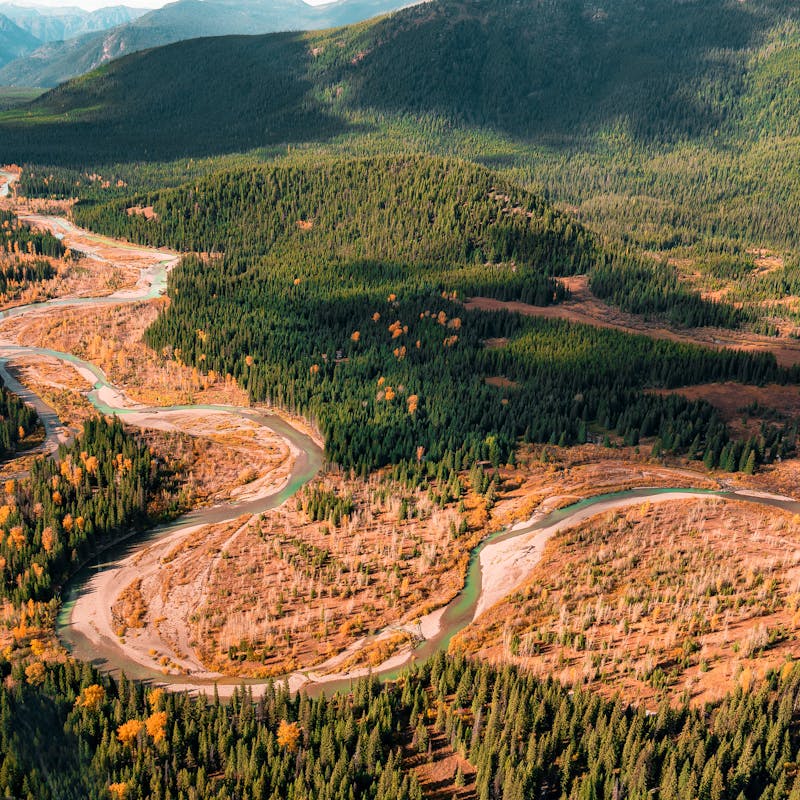 Flathead National Forest in Montana