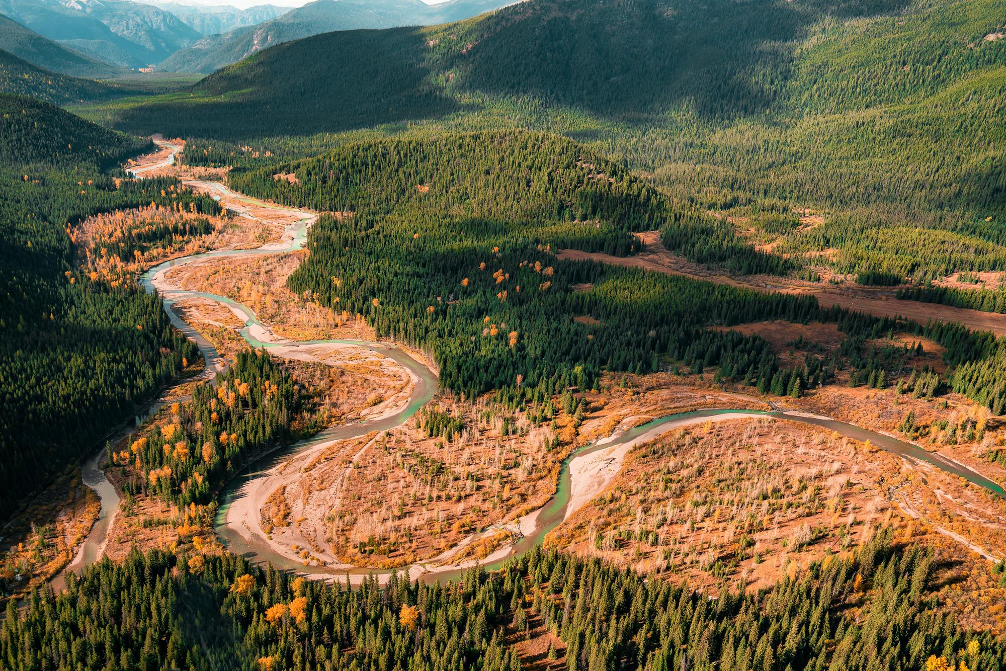 Flathead National Forest in Montana