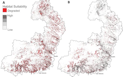 A map of overall change in Golden-cheeked Warbler (Setophaga chrysoparia) breeding habitat suitability within the Golden-cheeked Warbler breeding range