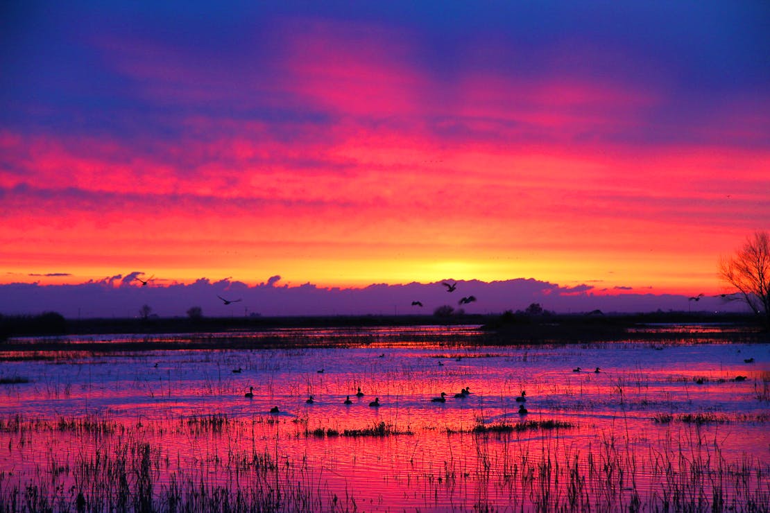 Wetland Sunset - Merced National Wildlife Refuge - California