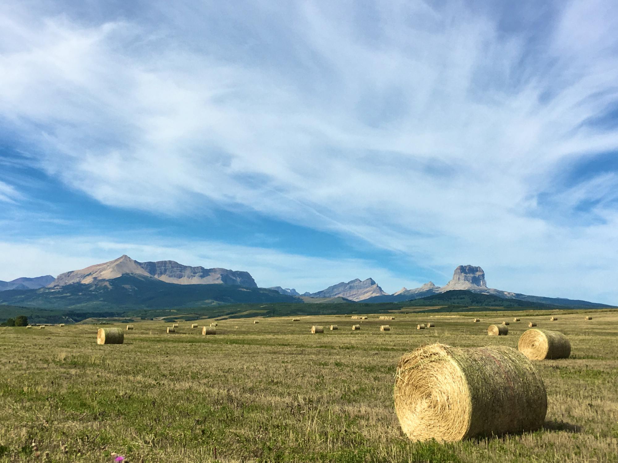 DITL - Electric Fencing - STILL - hay bails in foreground with mountains and sky in background