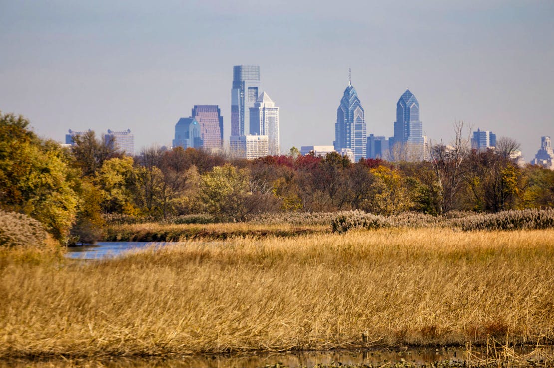 John Heinz NWR at Tinicum