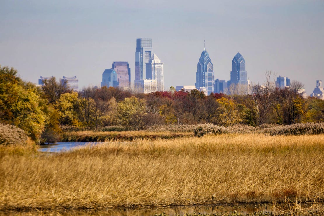 John Heinz NWR at Tinicum