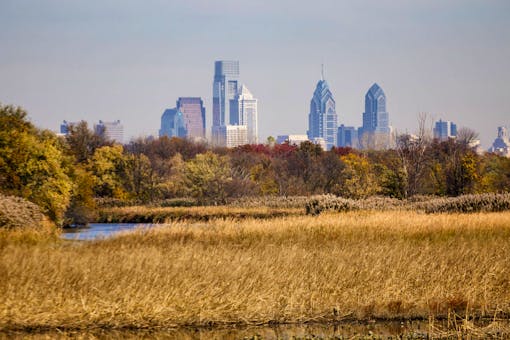 John Heinz NWR at Tinicum