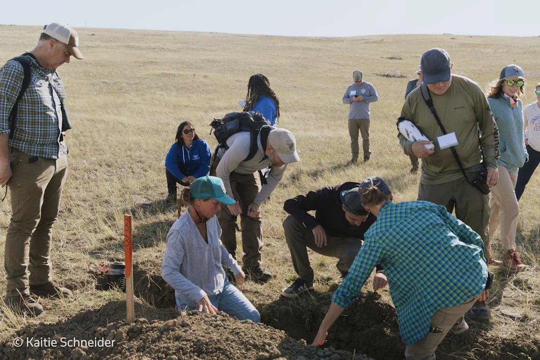 Prairie dog researchers