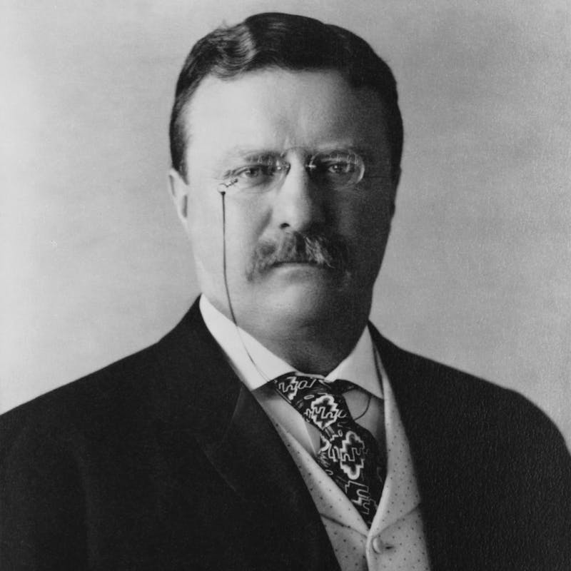 Theodore Roosevelt Portrait