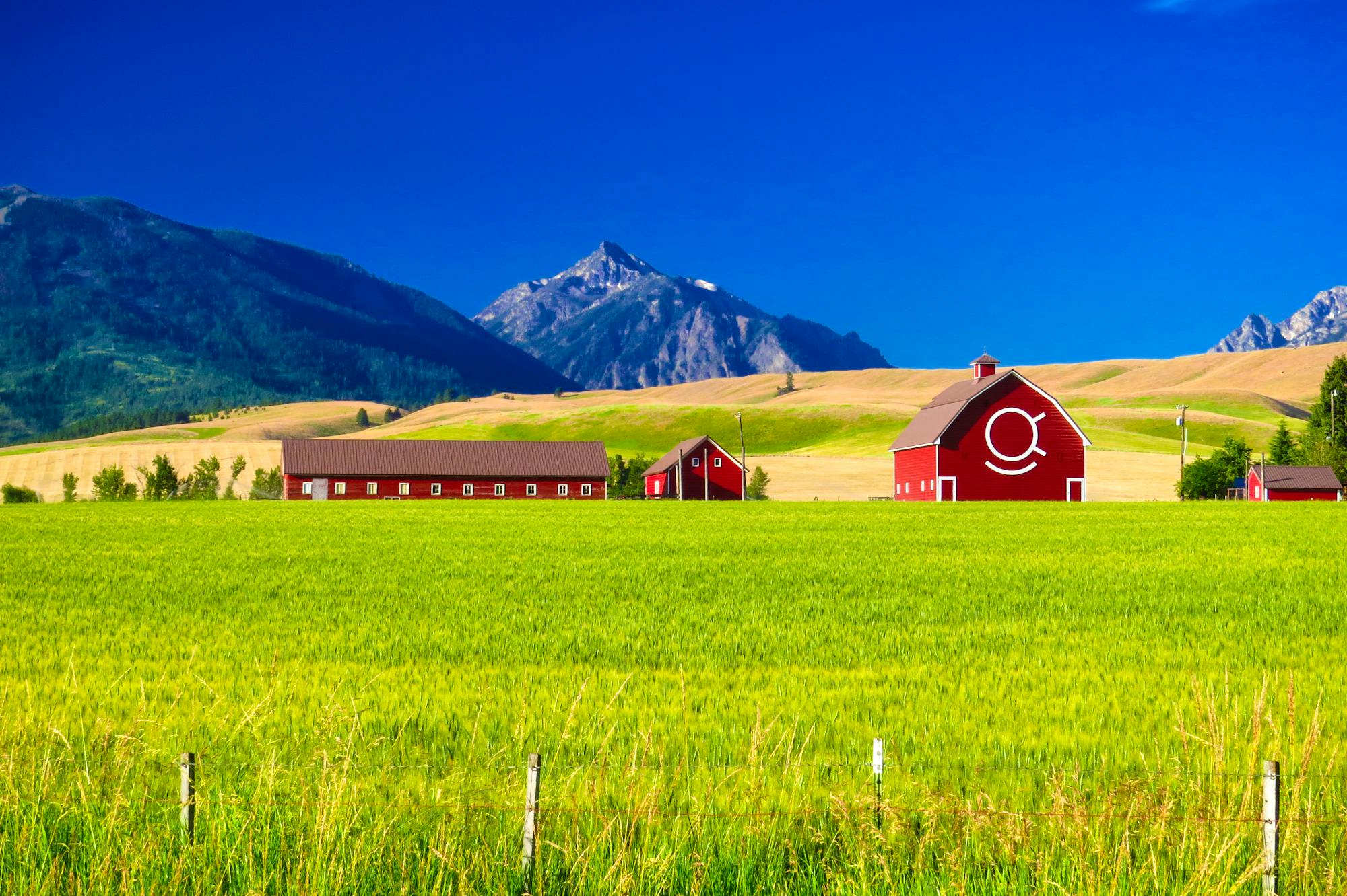 Red Barns and Mountains - Wallowa Whitman National Forest - Oregon