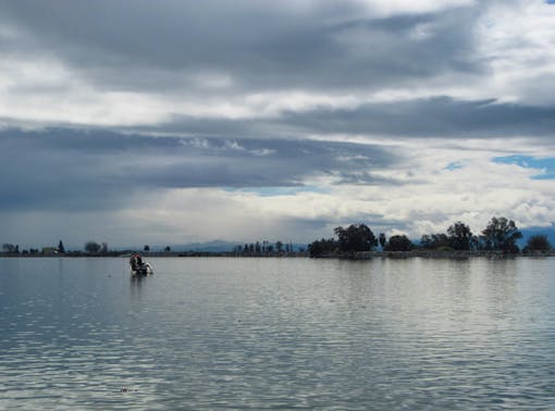 Mokelumne River near confluence with the San Joaquin River in the Sacramento-San Joaquin Delta, CA