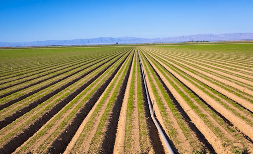 Agricultural production in the Imperial Valley, California