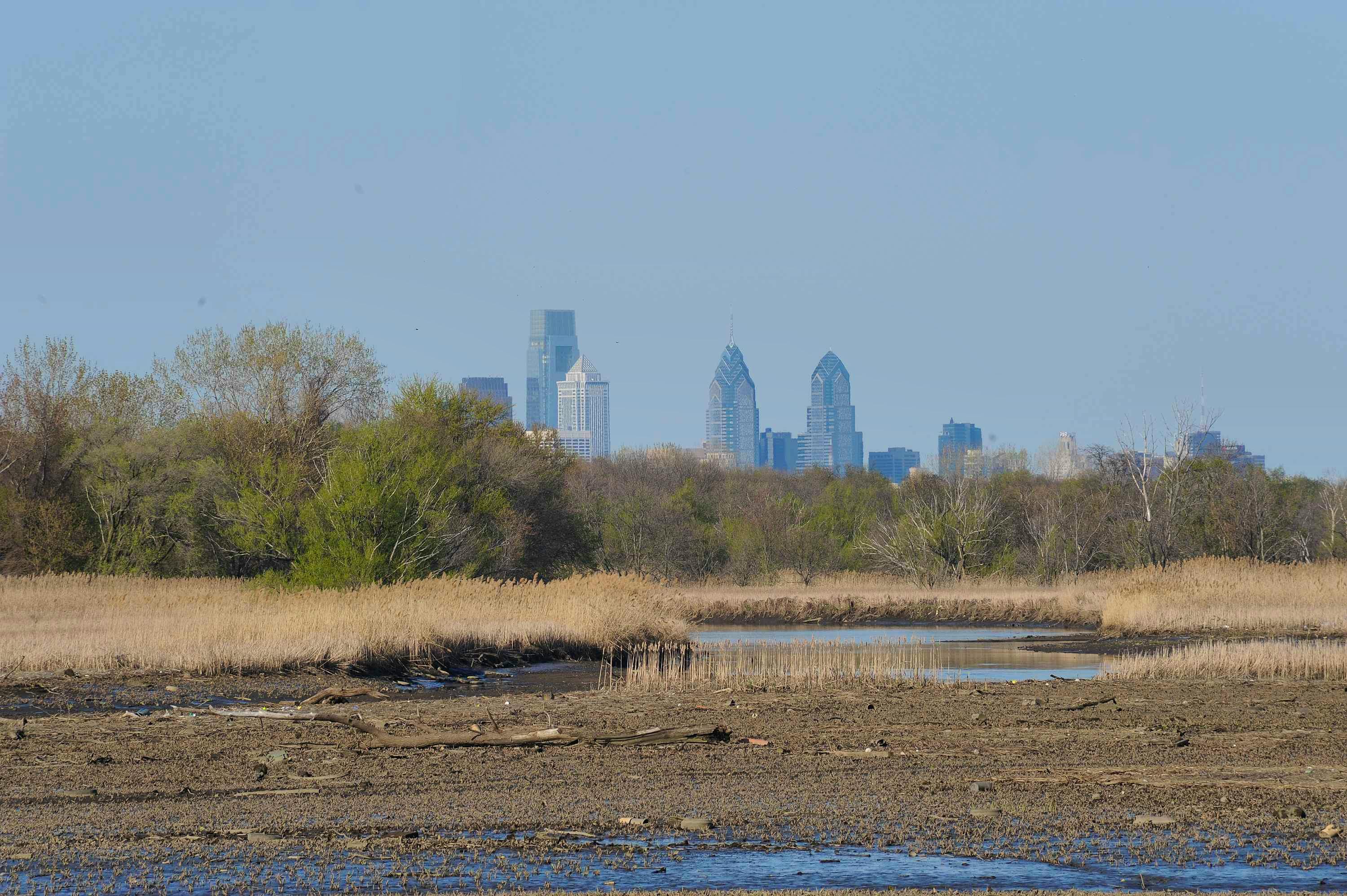 Heinz National Wildlife Refuge with Philadelphia in the background