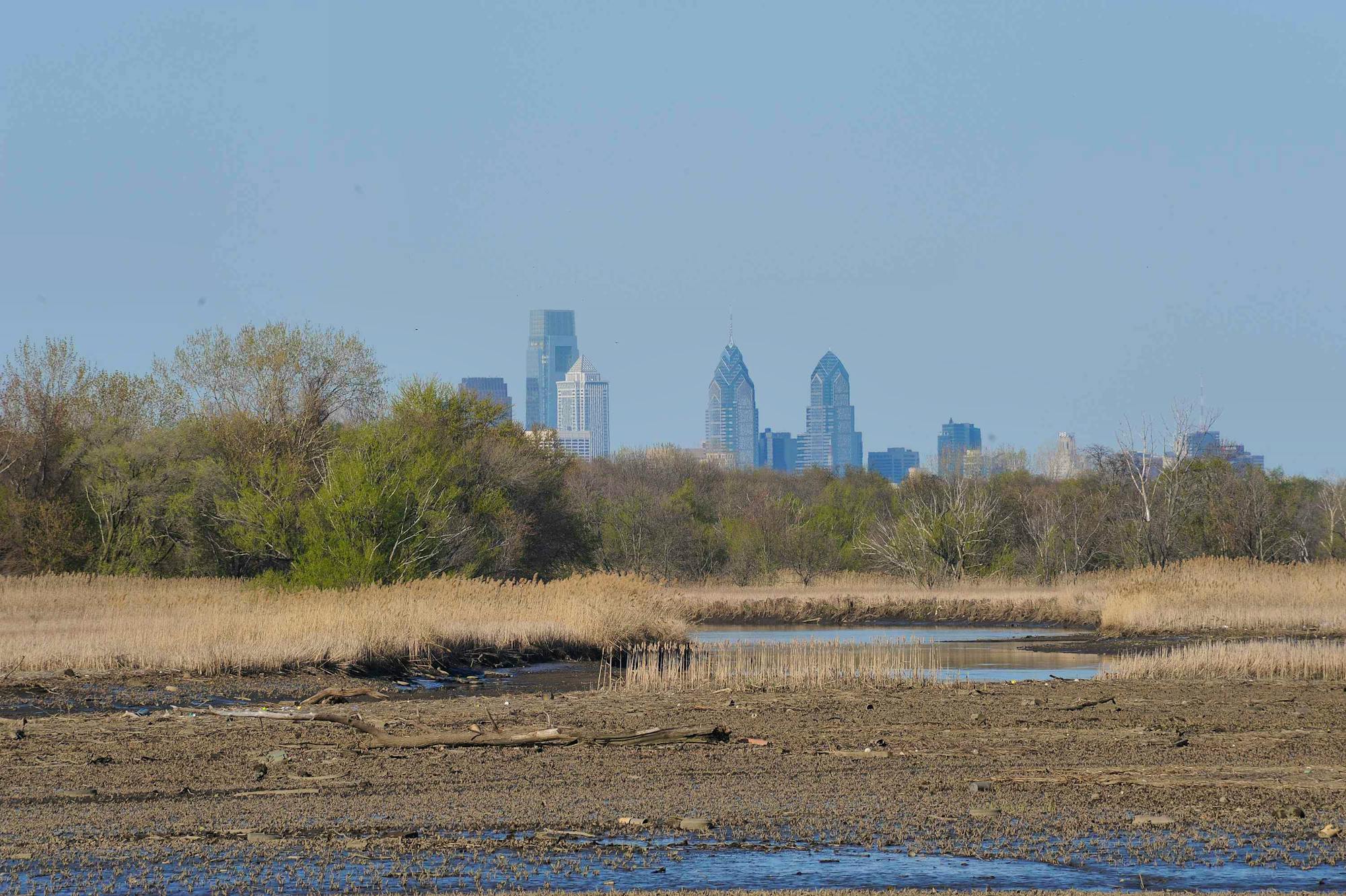 Heinz National Wildlife Refuge with Philadelphia in the background