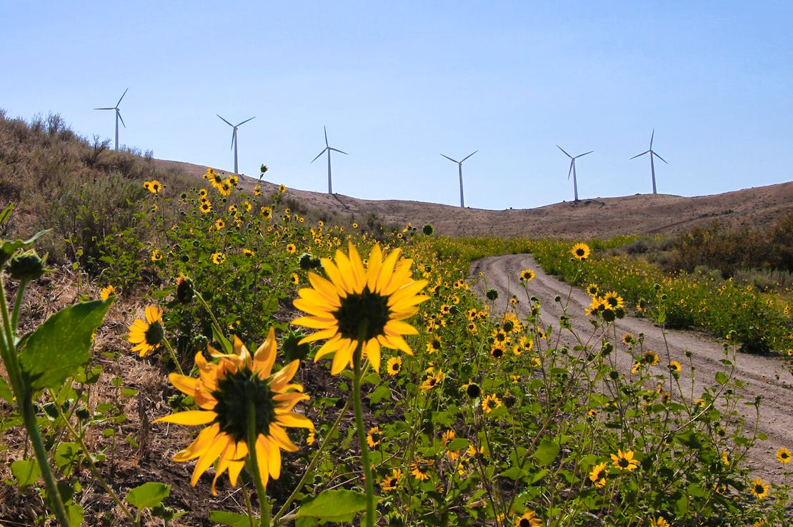 Renewables Oregon 