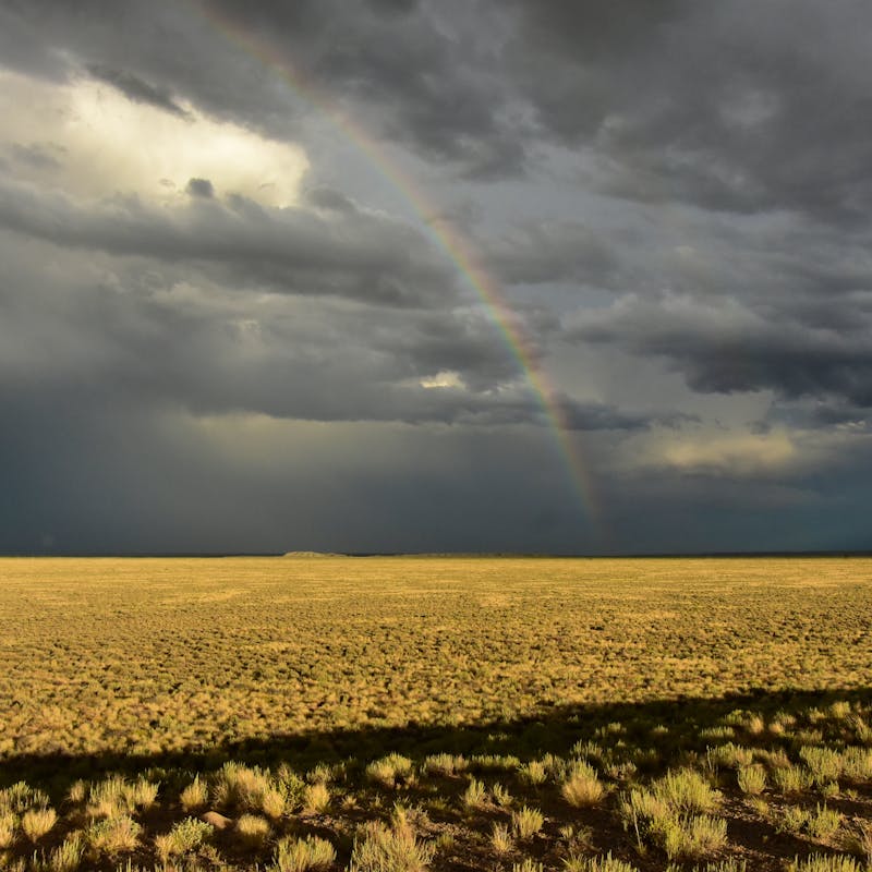 Rainbow Over Sagebrush Landscape