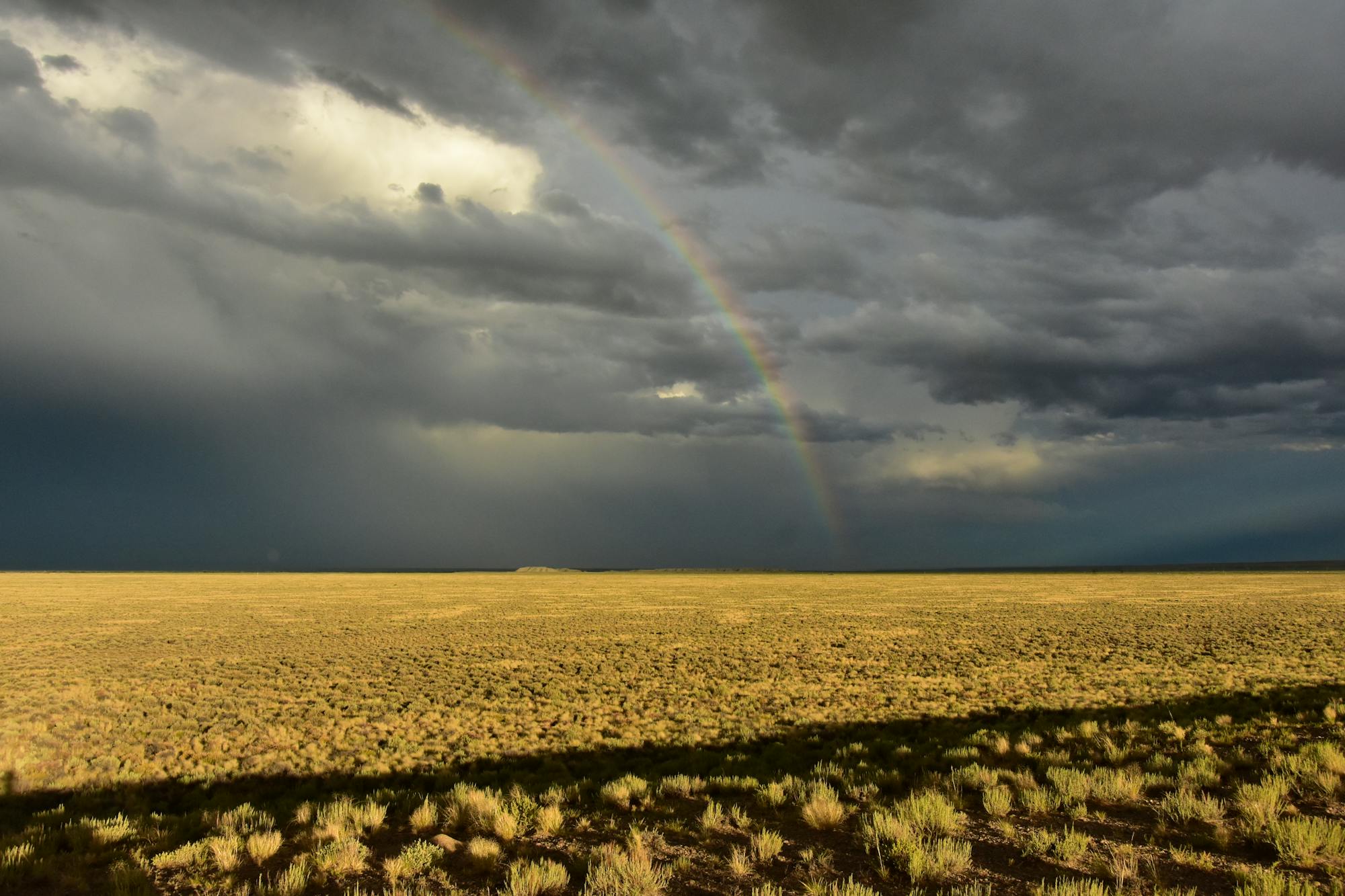 Rainbow Over Sagebrush Landscape