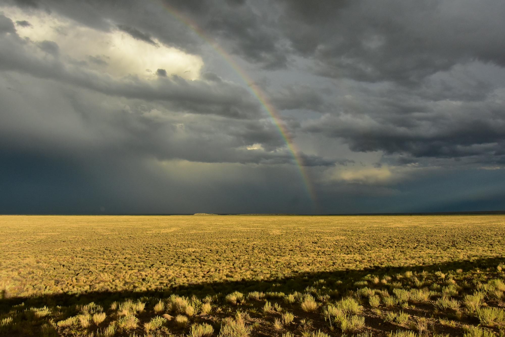 Rainbow Over Sagebrush Landscape