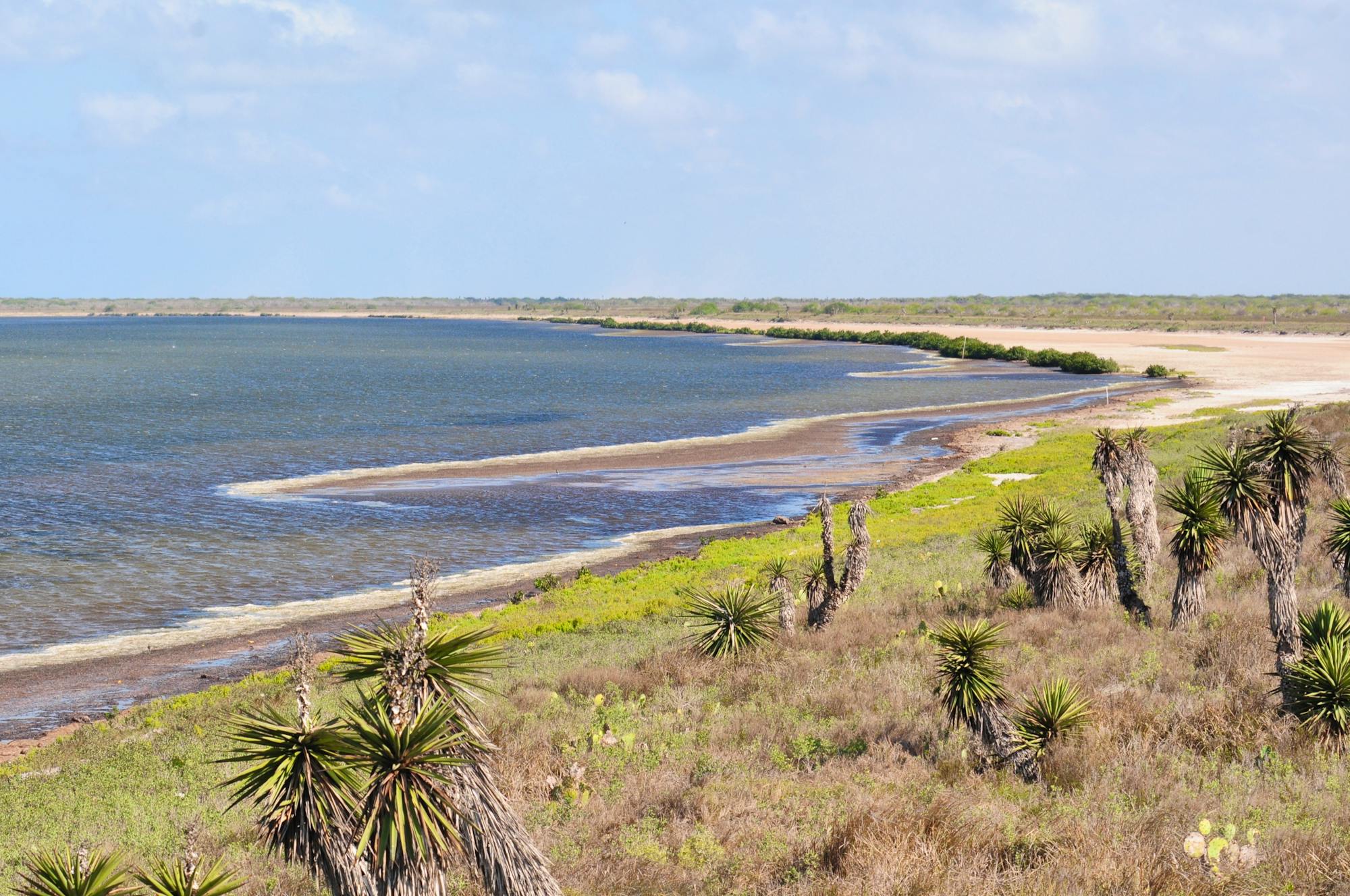  Laguna Atascosa National Wildlife Refuge - Texas - Vince Smith