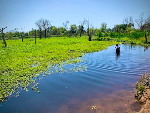 Doty Ravine Beaver Field Trip Event with person in water