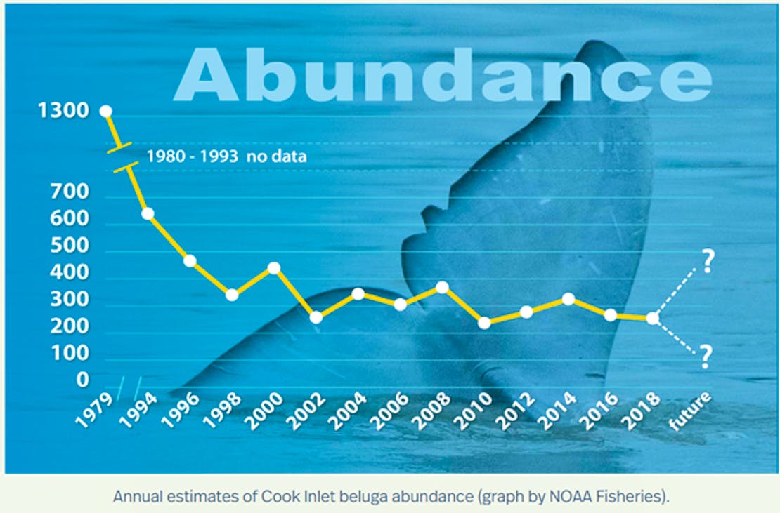 Annual Estimates up to 2018 for Cook Inlet beluga whale count 