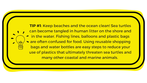 Yellow box with "Tip #1: Keep beaches and the ocean clean! Sea turtles can become tangled in human litter on the shore and in the water. Fishing lines, balloons and plastic bags are often confused for food. Using reusable shopping bags and water bottles are easy steps to reduce your use of plastics that ultimately threaten sea turtles and many other coastal and marine animals." written in it.