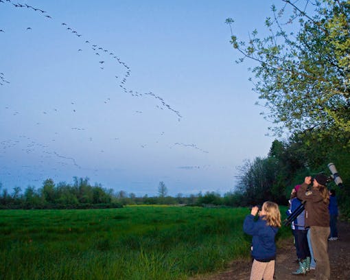 2012.09.18 - Bird Watching - Ankeny National Wildlife Refuge - Oregon - George Gentry - USFWS