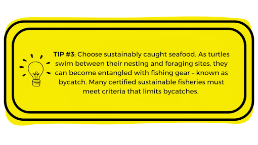 Yellow box with "Tip #3: Choose sustainably caught seafood. As turtles swim between their nesting and foraging sites, they can become entangled with fishing gear – known as bycatch. Many certified sustainable fisheries must meet criteria that limits bycatches." written in it.