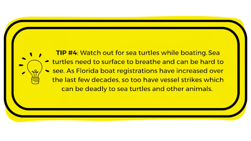 Yellow box with "Tip #4: Choose sustainably caught seafood. As turtles swim between their nesting and foraging sites, they can become entangled with fishing gear – known as bycatch. Many certified sustainable fisheries must meet criteria that limits bycatches." written in it.