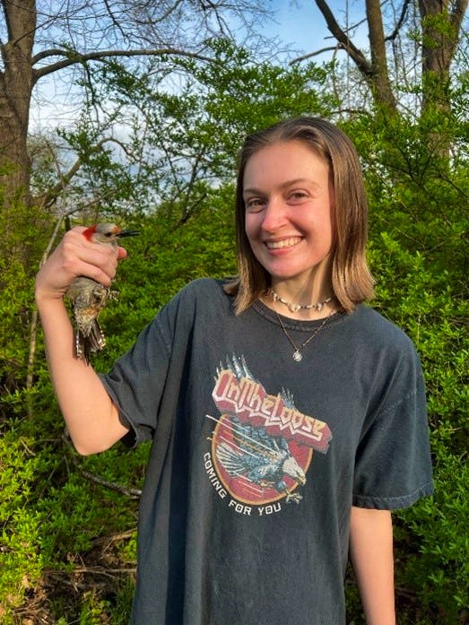 Kaylin McConnell_CCI Intern