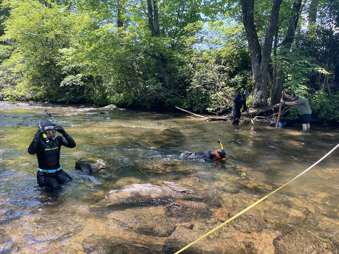 DOW Hellbender Survey NC_Wading in the Water_Tory Ash-DOW