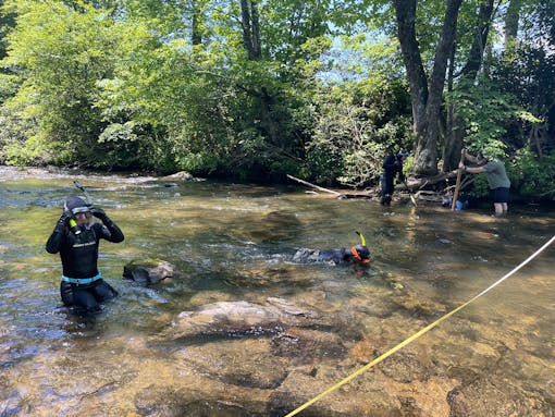 DOW Hellbender Survey NC_Wading in the Water_Tory Ash-DOW