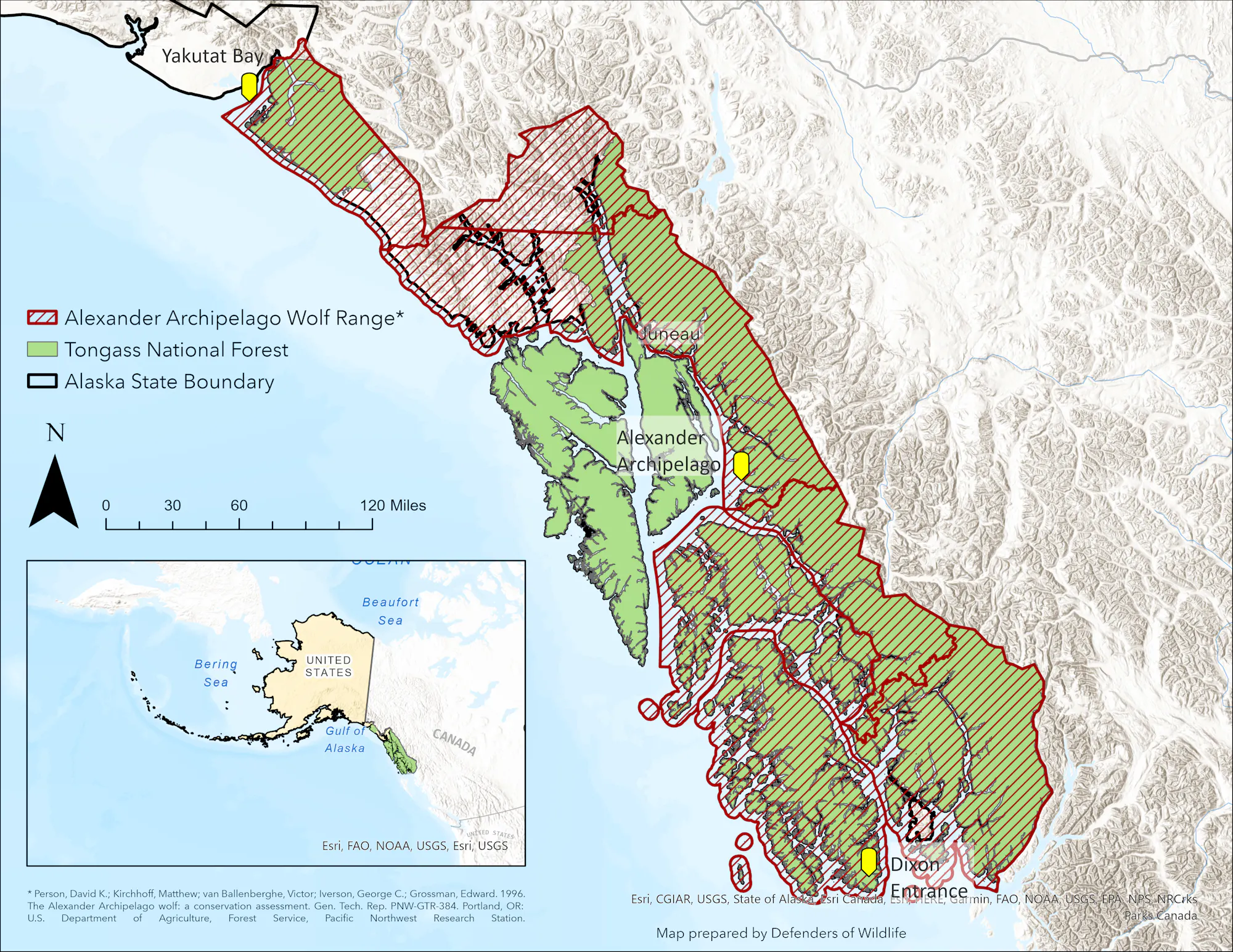 The Path Forward for Alaska’s Alexander Archipelago Wolves | Defenders ...
