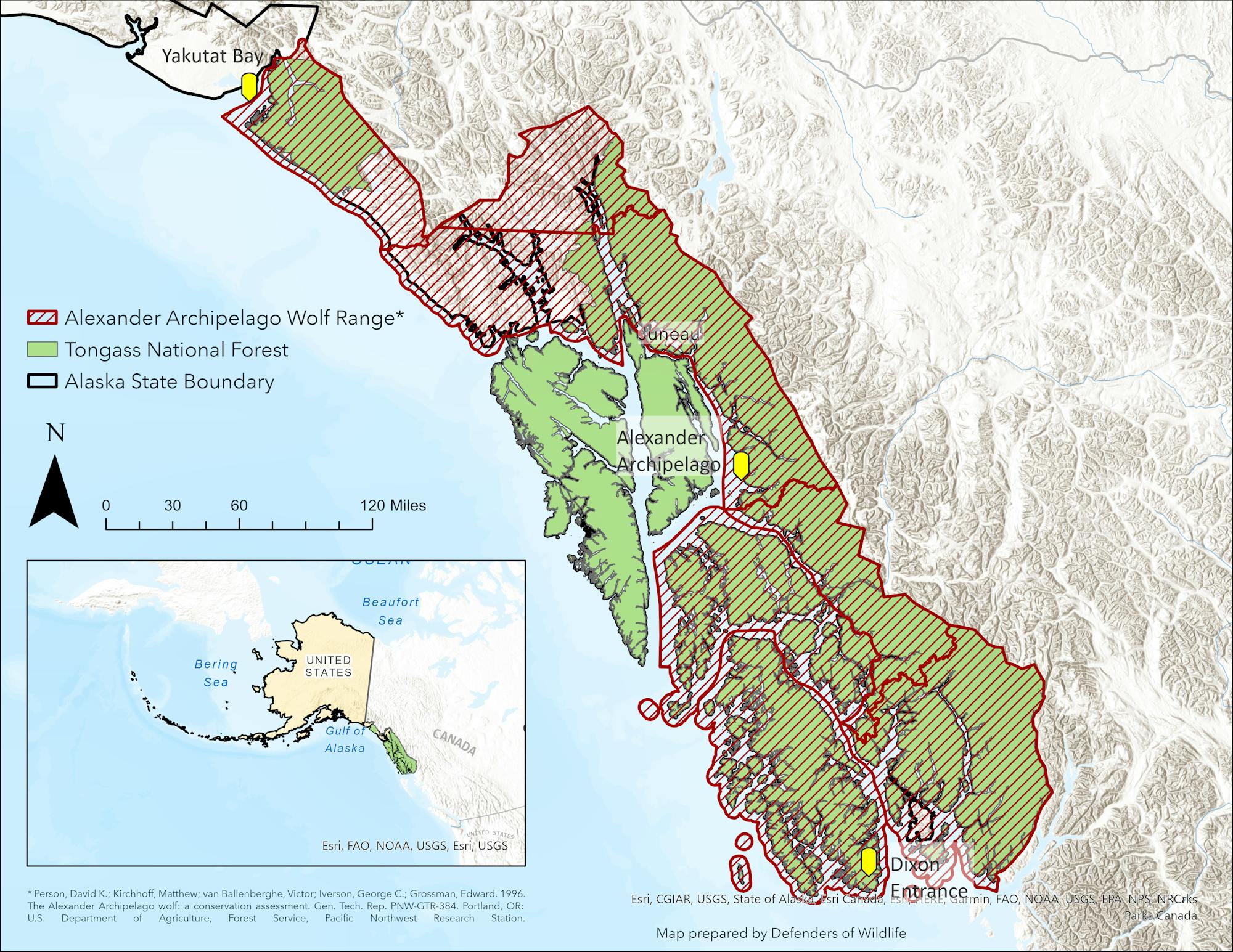 AK_Tongass_AAwolf_Jan1723_CC-BY Defenders of Wildlife 2023