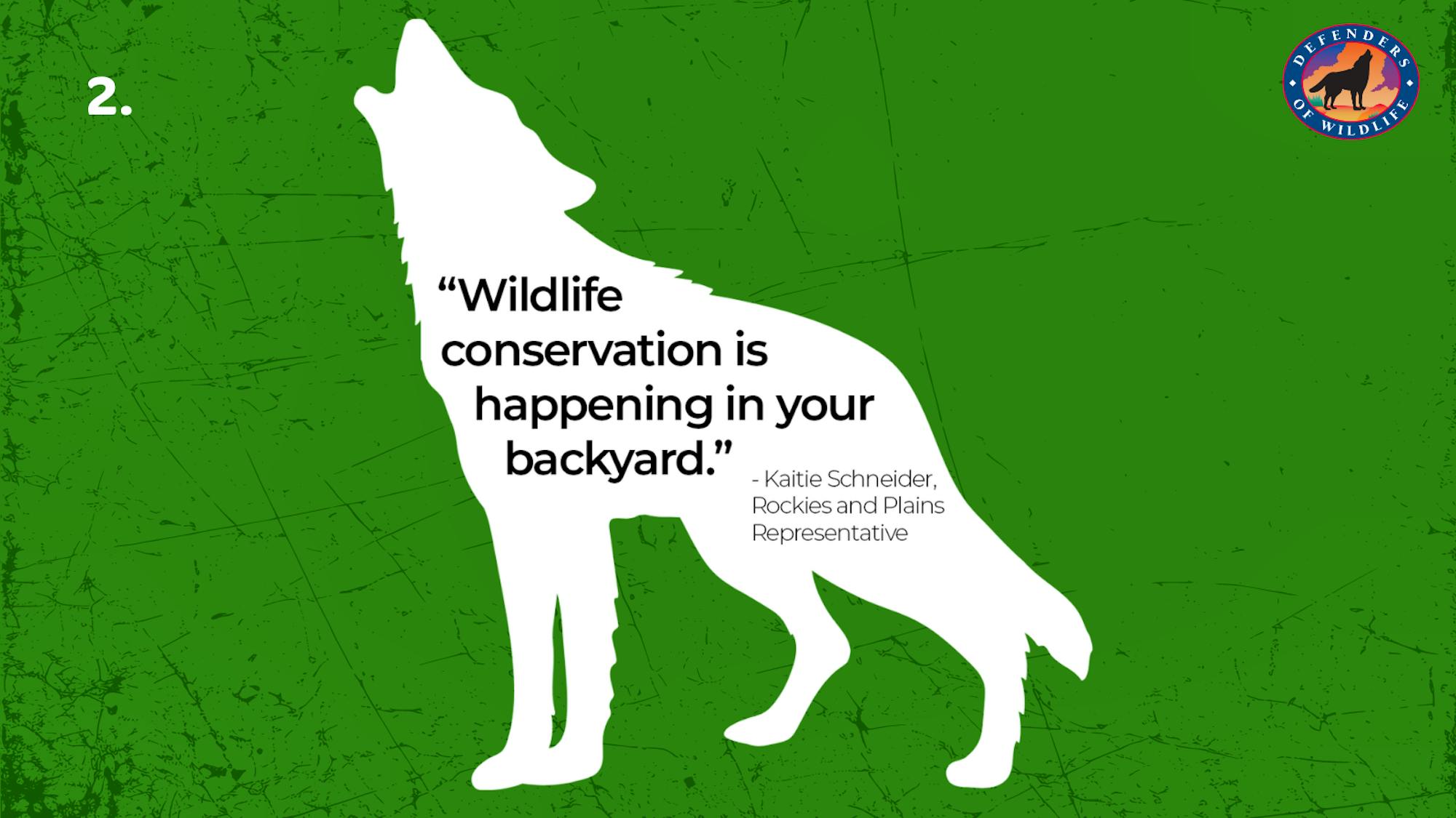 5 Facts About Wildlife Conservation Defenders of Wildlife