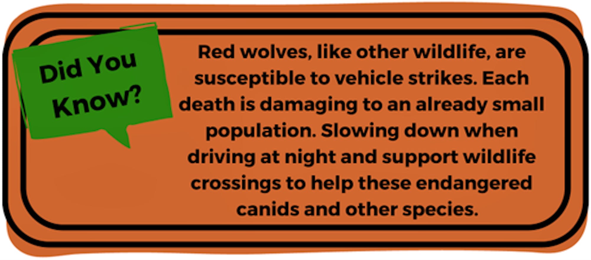 Red Wolf Factoid 3